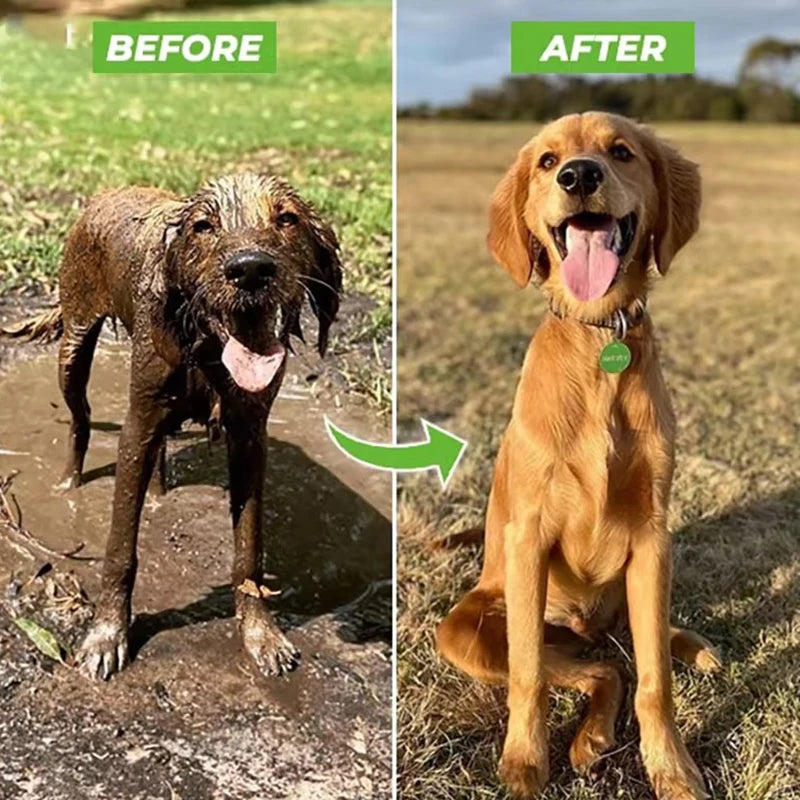 Mangueira do bocal do pulverizador do cão de alta pressão, arma do chuveiro, lavagem ajustável do animal de estimação, banho de limpeza, espuma de água, pulverizador do sabão, 3 modos