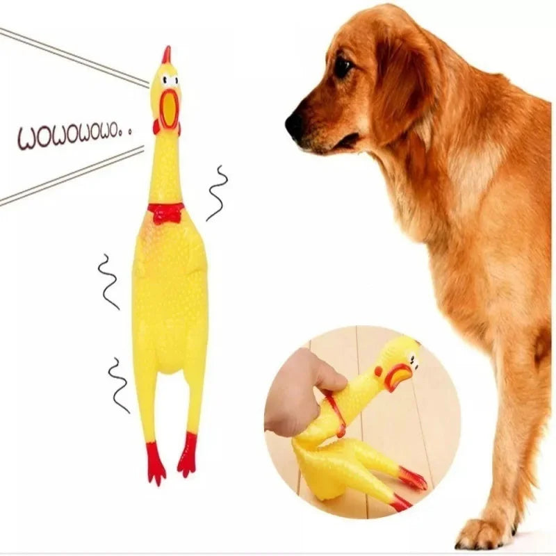 Rubber Sound Tie Toy para Pet, frango, frango, galo, cachorro, criança, bebê, 16 cm, 31 cm, 39 cm